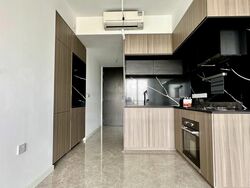 Irwell Hill Residences (D9), Apartment #455496791